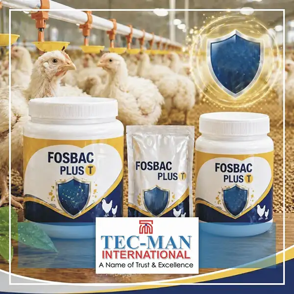Fosbac Plus T - Broad-Spectrum Antibiotic for Poultry