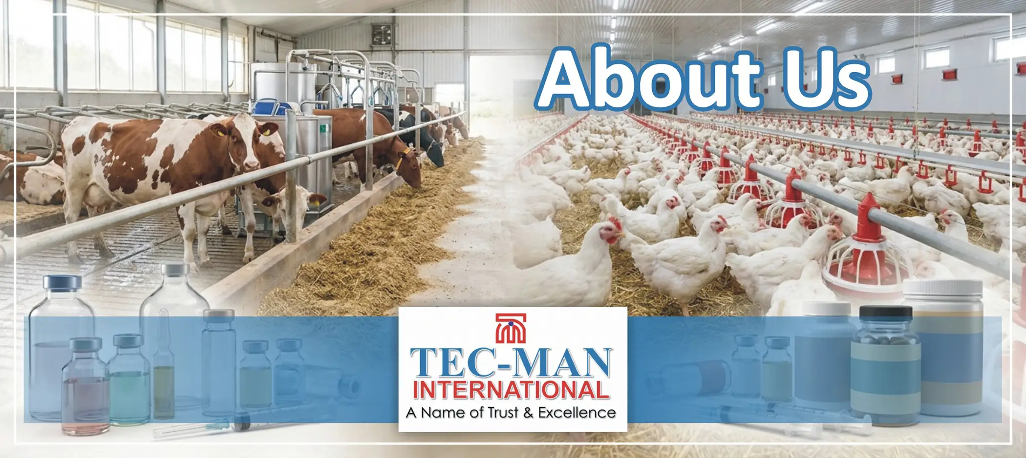 About Tecman International - Poultry Medicine Company