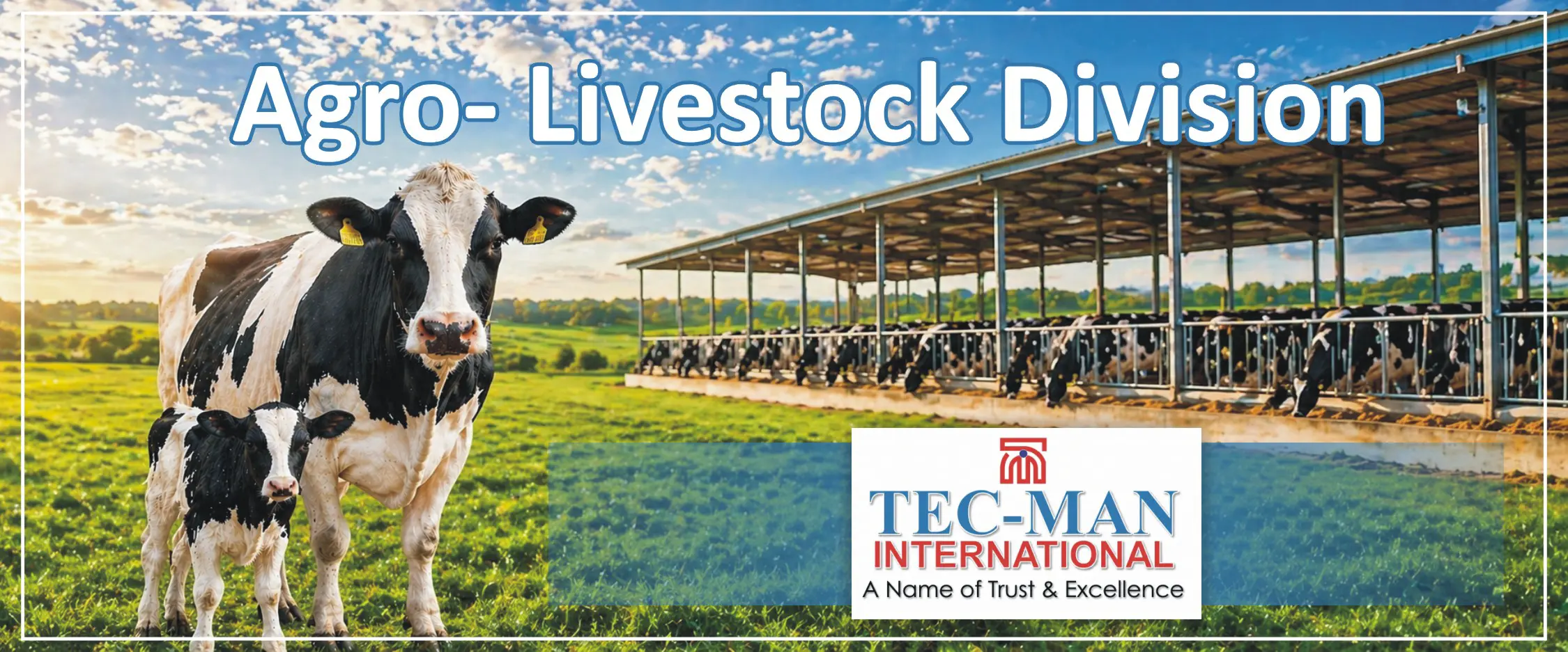 Agro Livestock Division of TecMan International