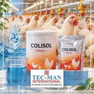 Colisol Powder - Poultry Gut Infection Treatment