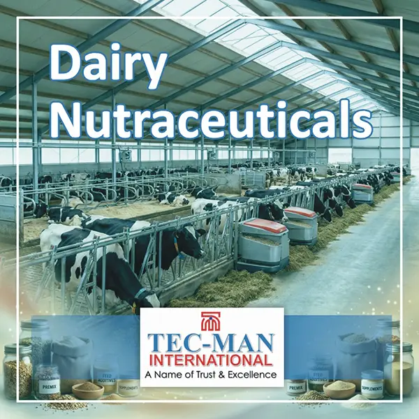 Dairy Nutraceuticals and Dairy Feed Additives