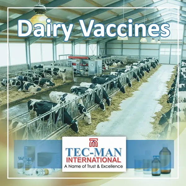 Dairy Vaccines and Livestock Vaccines