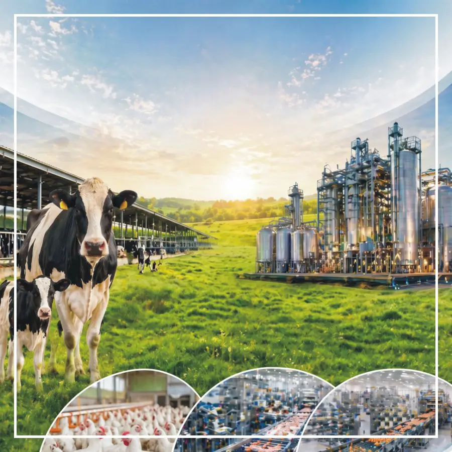 Livestock and Poultry Industry