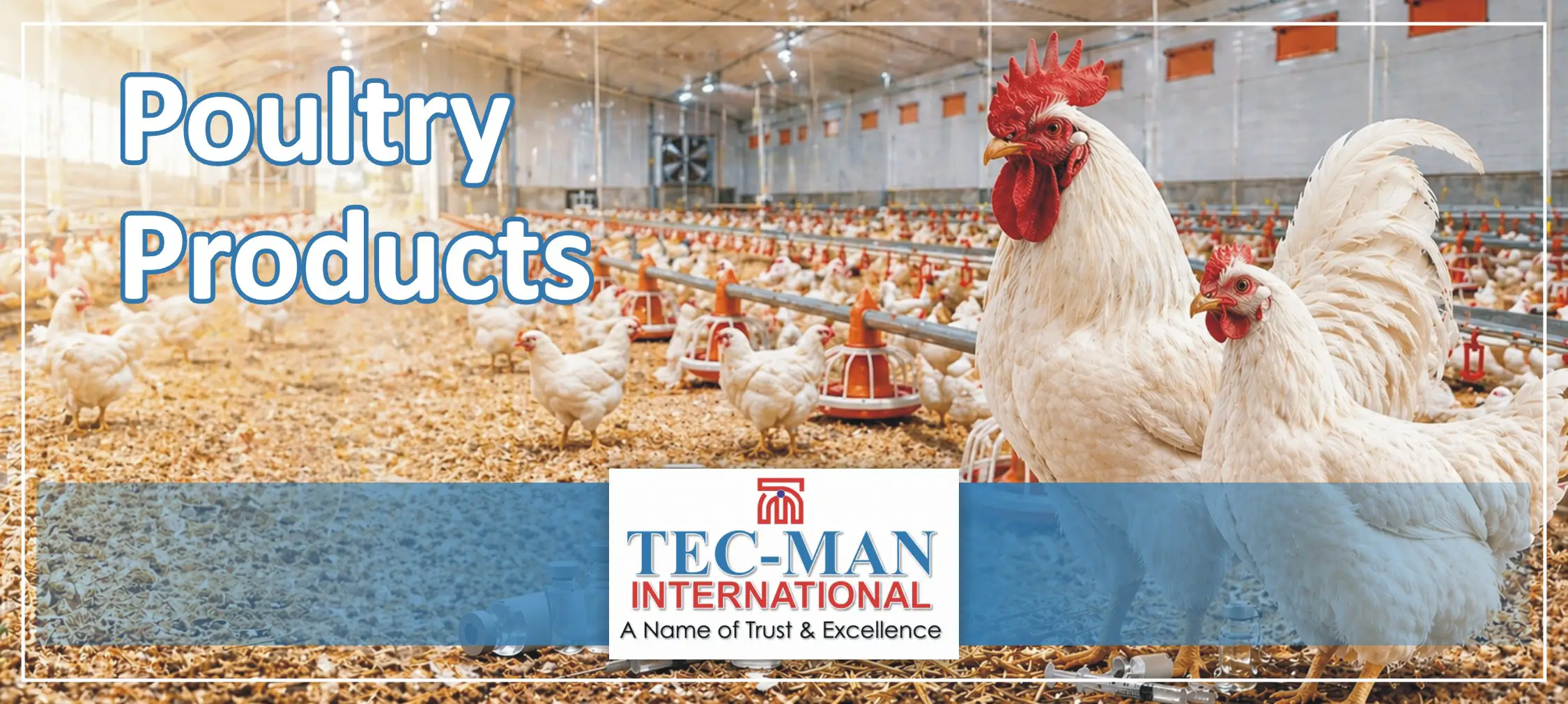 Poultry Farming Inputs