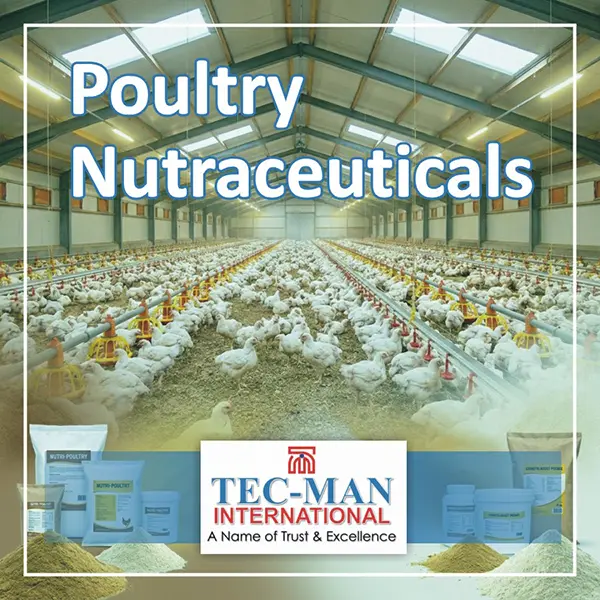 Poultry Nutraceuticals