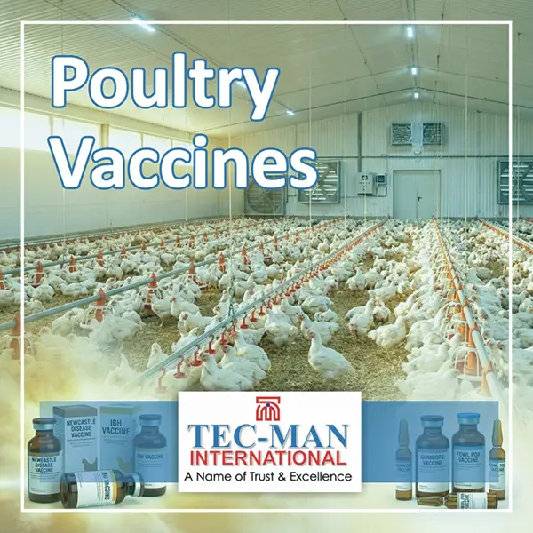 Poultry Vaccines
