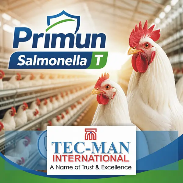 Primun Salmonella T - Salmonella Vaccine