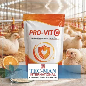 Provit C - Nutritional Solution for Stress Management in Poultry and Livestock