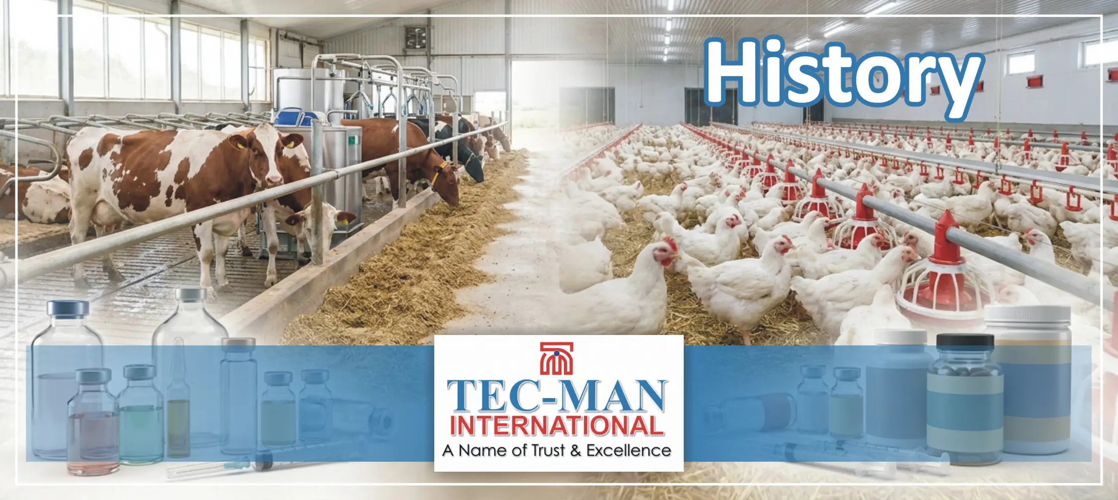 TecMan International History