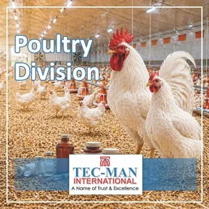 TecMan Poultry Division