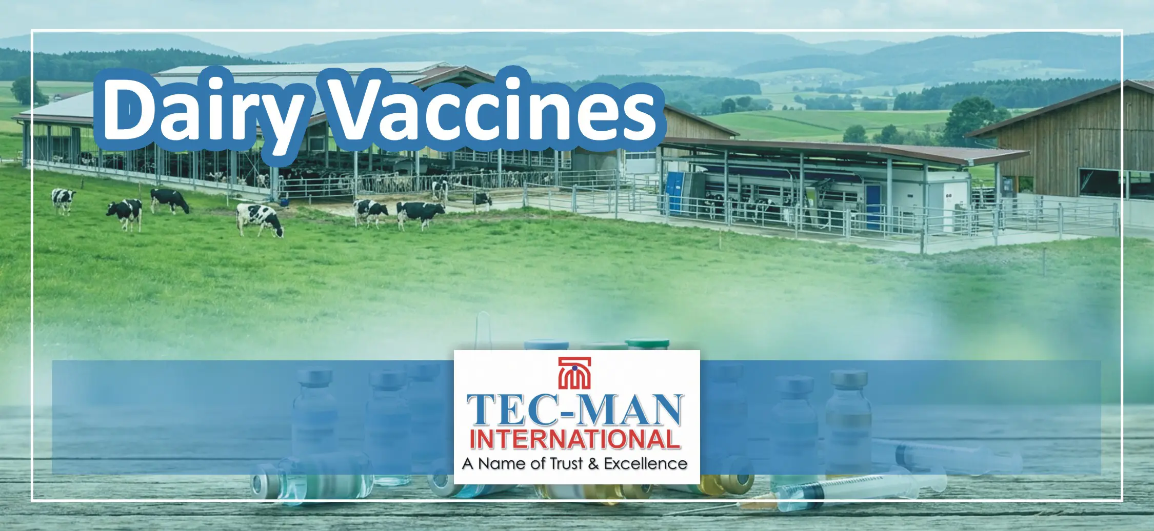 Vaccines for Dairy Animals