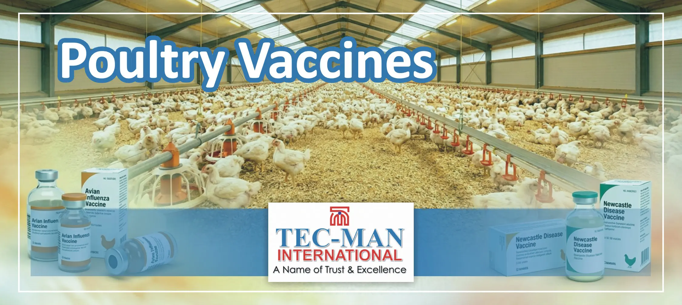 Vaccines for Poultry