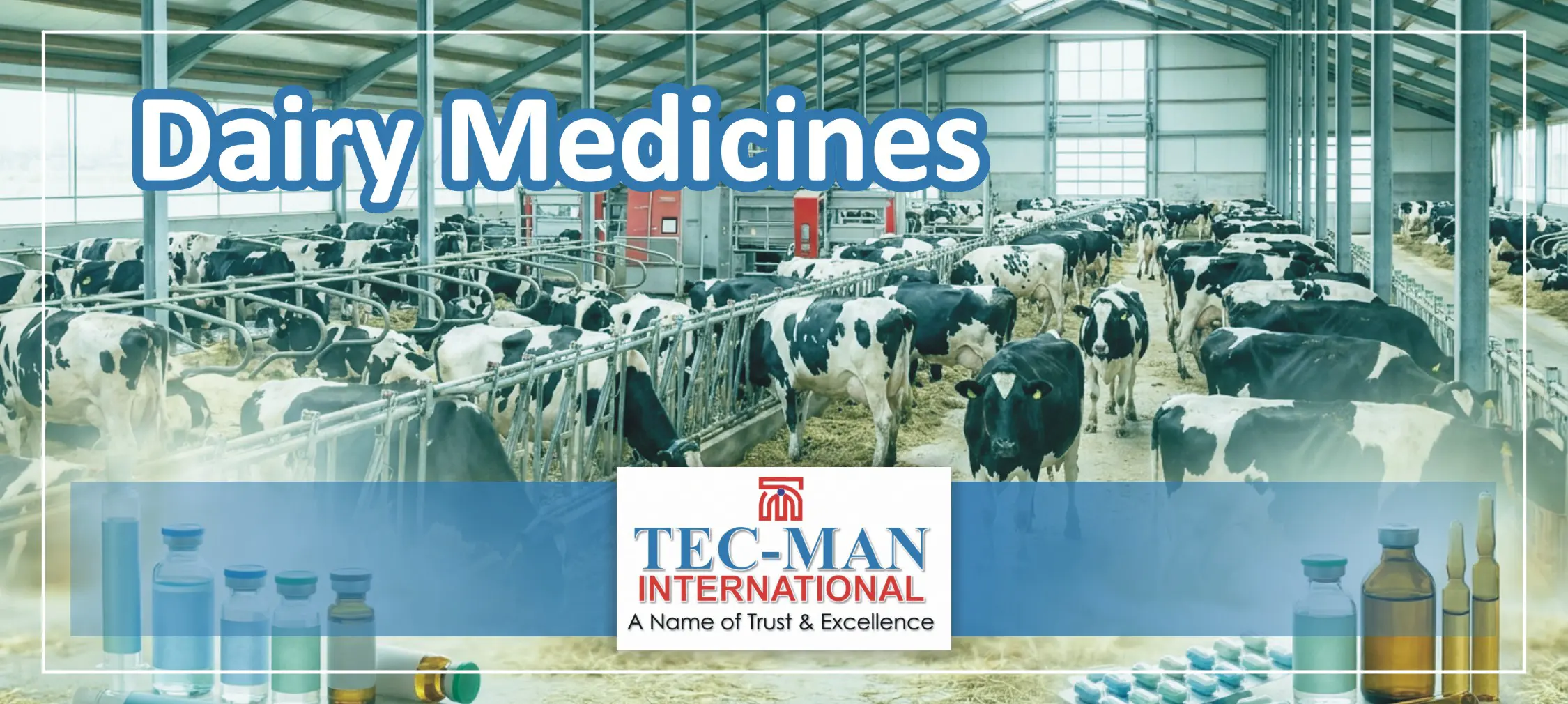 Veterinary Medicines for Dairy Animals