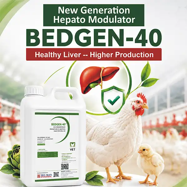 BEDGEN 40 SFA Poultry Concentrate