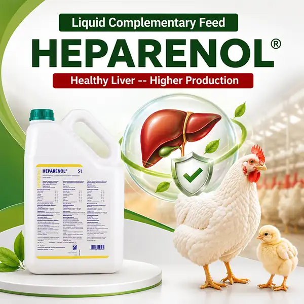 Heparenol - Liver Support for Poultry